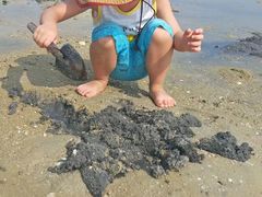 -红树林天天赶海