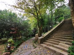 -莫干山风景区