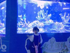 -厦门海底世界