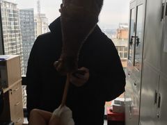 -顺城金记卤鸡·清真