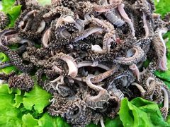 -协顺园回头馆(南顺城路店)