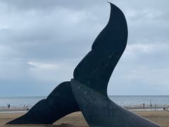 -烟台金沙滩海滨公园