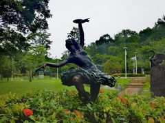 -广东花都湖国家湿地公园