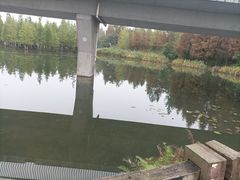 -白鹭湾湿地公园