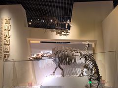 -国家自然博物馆