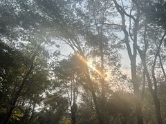 -青龙山国家森林公园