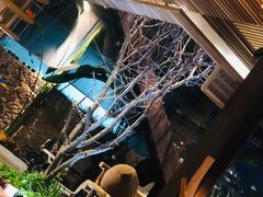 -渔太泰漓江小馆·广西融合菜(西街店)