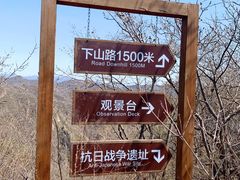 -大岭沟猕猴桃谷风景区
