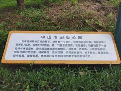 -田心森林公园