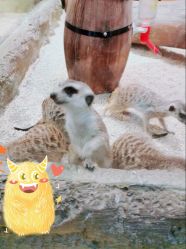 -Mr·Kuma酷么先生雪之乐园