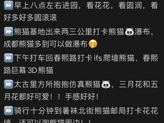 -鑫记婆婆兔·成都特产·兔头手撕兔(太古里店)