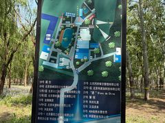 -枫花园汽车电影院(朝阳公园店)