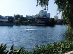 -荔湾湖公园