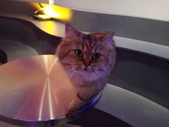 -极木²邸 人与宠物·互动社区