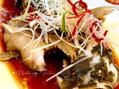 -老洋房花园饭店(绍兴路店)