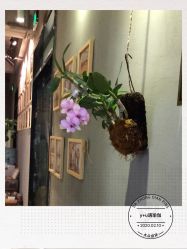 -Y+U遇瑜伽·普拉提