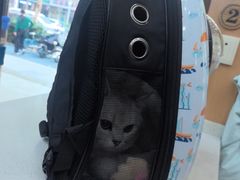 -联合动物医院(光谷诊疗中心)