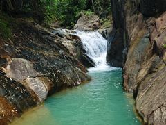 -广州白江湖森林公园