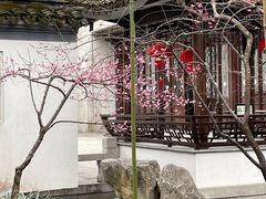 -秋霞圃