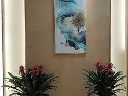 -雅曼妮spa美容养生