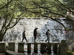 -少华山国家森林公园