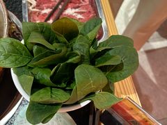 -京炭铜锅涮肉·羊蝎子·羊肉炉(保利·时光里店)