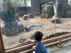 -深圳野生动物园