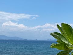 -三亚蜈支洲岛旅游区