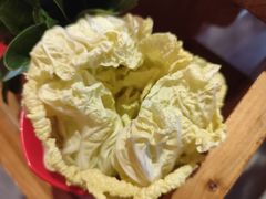 -老诚一锅(来北家园店)