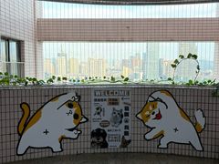 -有喵·猫咖·狗咖·30几只猫10只小狗(岗厦店)