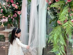 -正佳雨林生态植物园