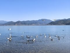 -大洛水码头