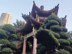 -华雅花园大酒店