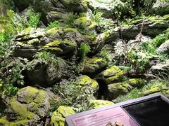 -阿哈湖国家湿地公园