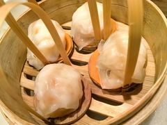 -金鼎轩(方庄天坛店)