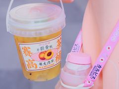 -利腾金力湾商业中心