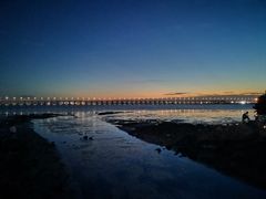 -宝安西湾红树林湿地公园