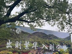 -白马涧龙池景区