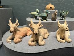 -广西壮族自治区博物馆