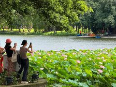 -荔湾湖公园