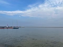 -碧海金沙