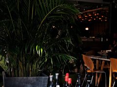 -the rug 飞毯 (朝阳公园店)