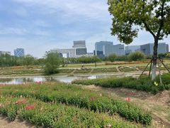 -春花秋色城市公园