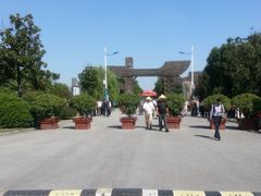 -溱湖国家湿地公园