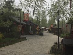 -合肥滨湖国家森林公园