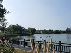 -上海长兴岛郊野公园