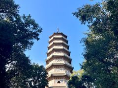 -灵谷景区