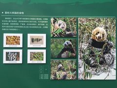 -西安大唐西市博物馆