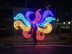 -锦江乐园舞狸花花游园会(夜场专享)