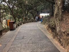 -普陀山慧济禅寺